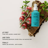 The Haze | Deodorizing Body Mist (New!)