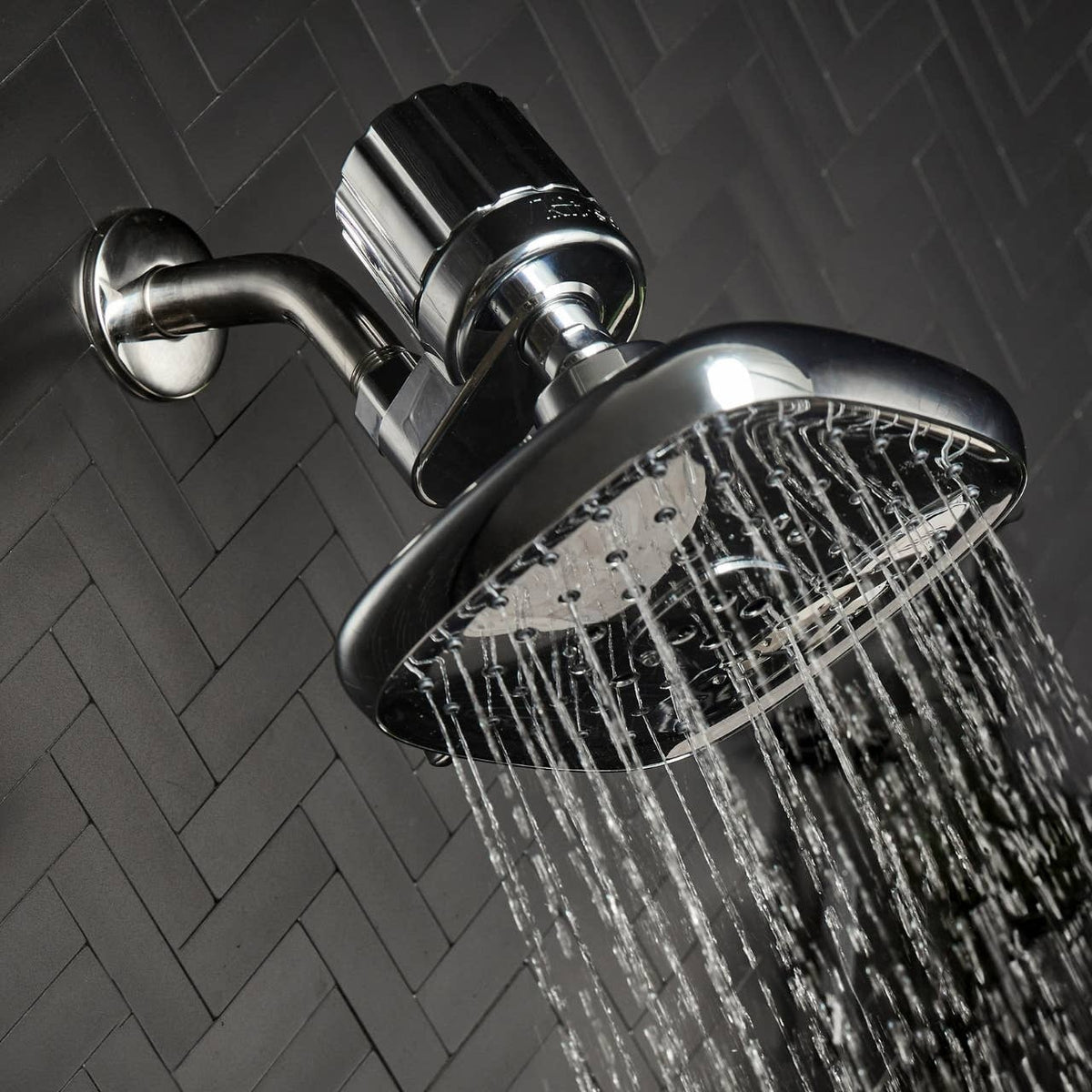 The Shower Filter in Chrome Finish