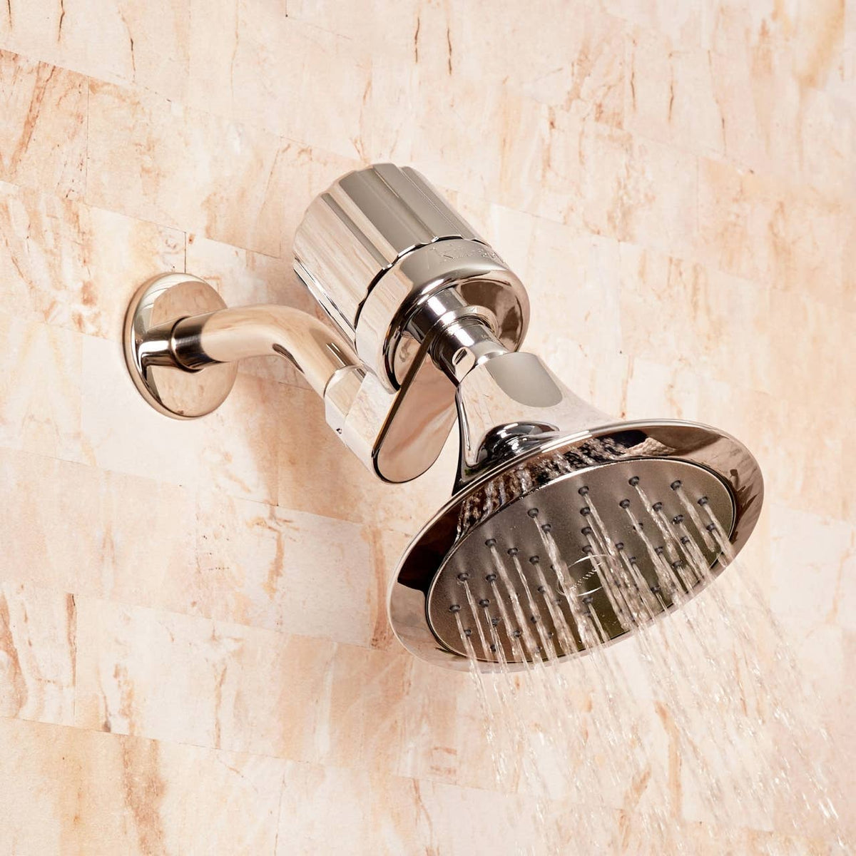 The Shower Filter in Chrome Finish