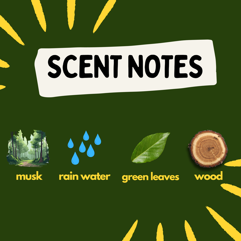 First Rain Scented Soy Hand-Poured Candle
