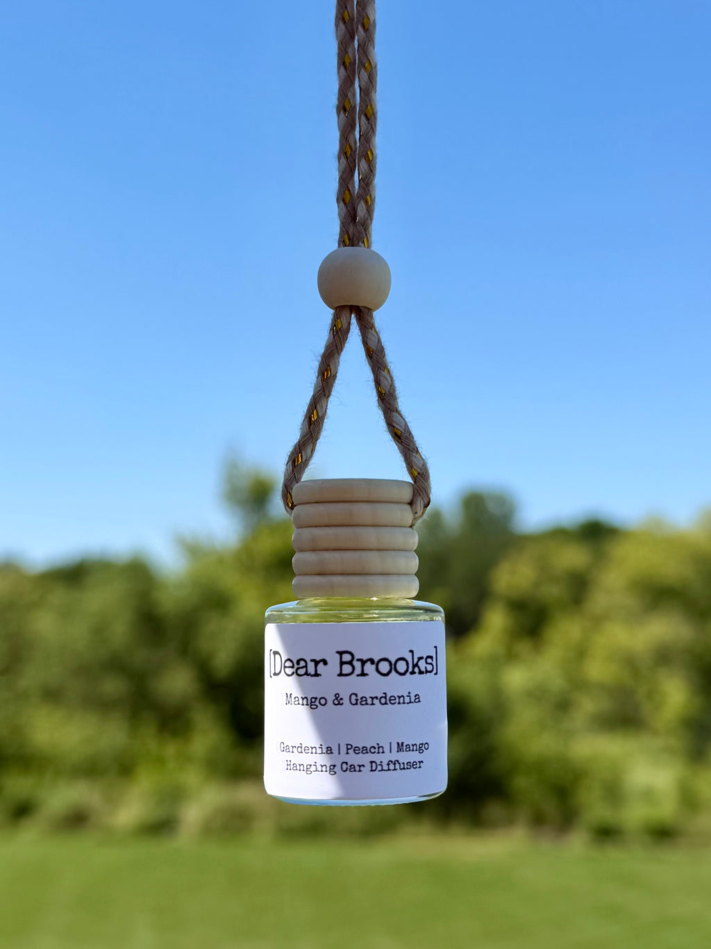 [Dear Brooks] Clean Scented Hanging Car Diffuser