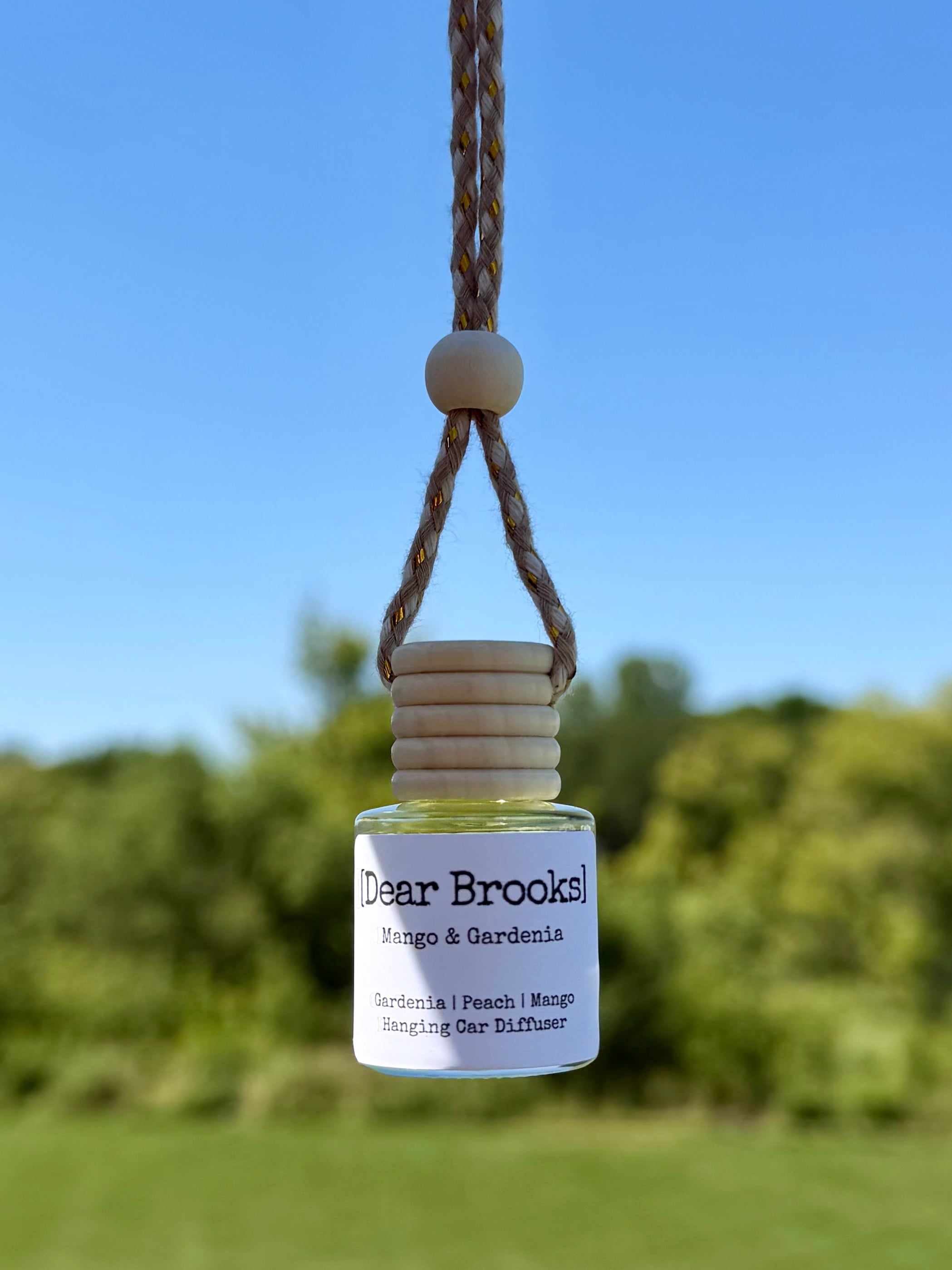 [Dear Brooks] Clean Scented Hanging Car Diffuser
