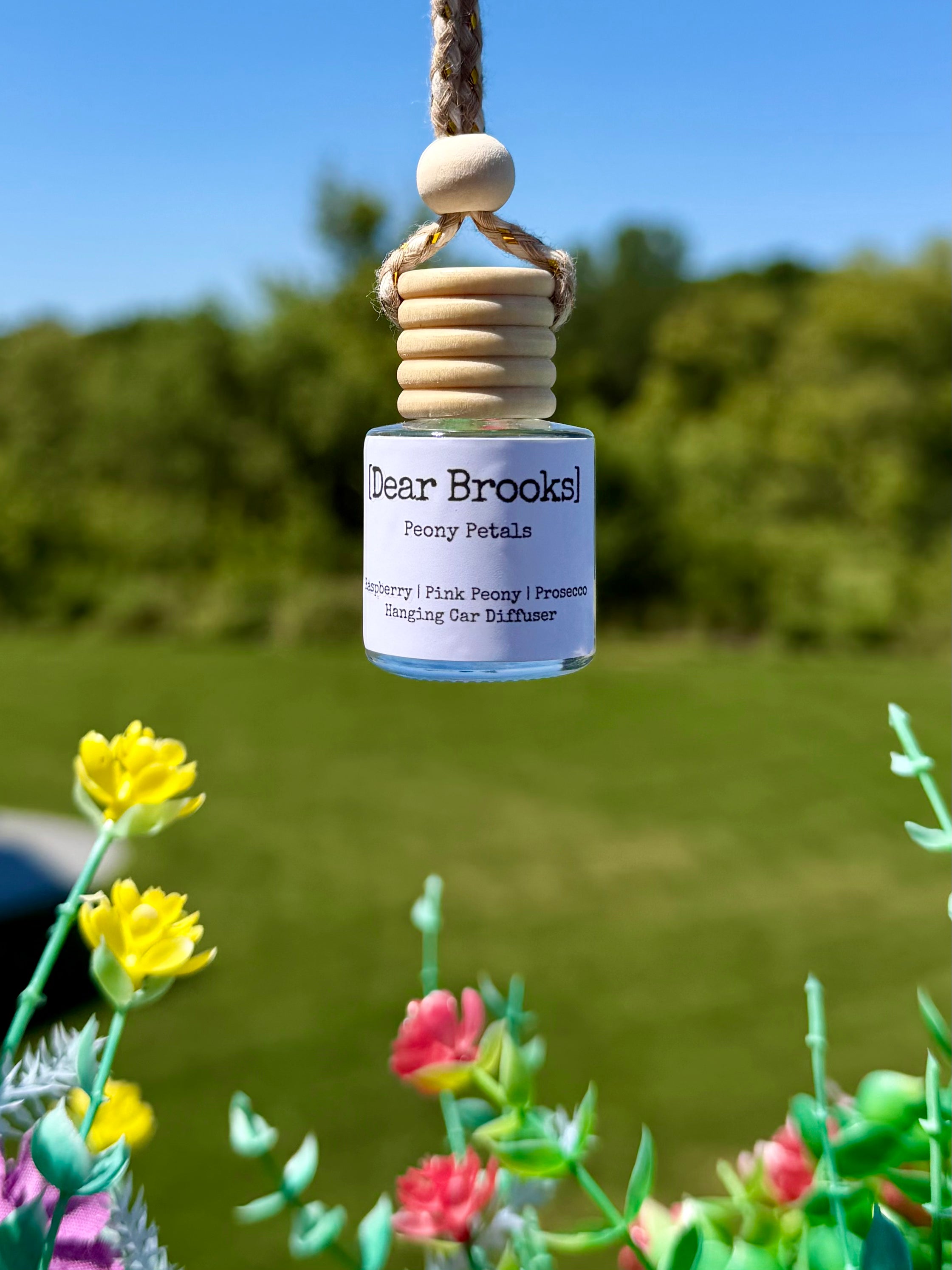 [Dear Brooks] Clean Scented Hanging Car Diffuser