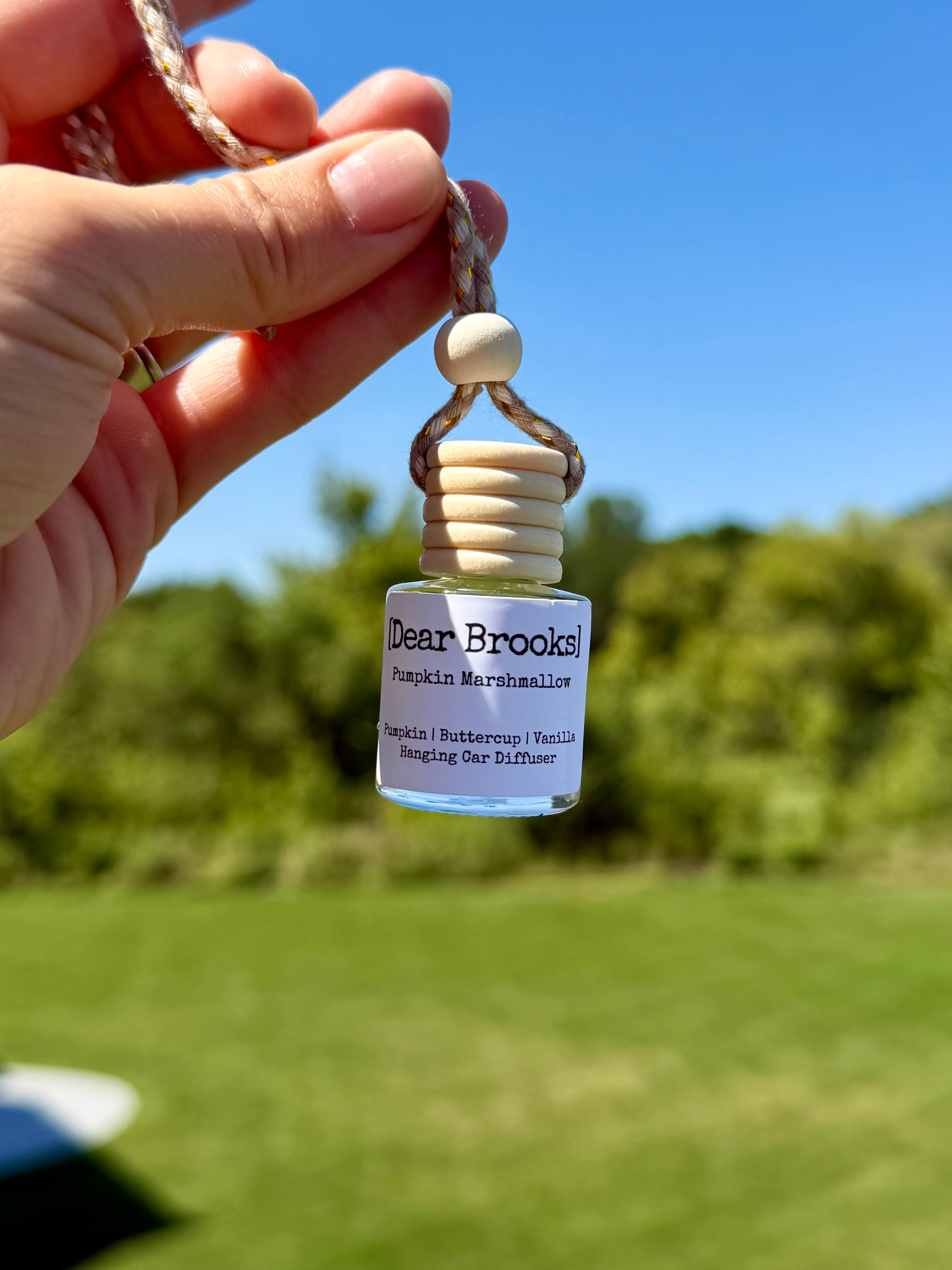 [Dear Brooks] Clean Scented Hanging Car Diffuser