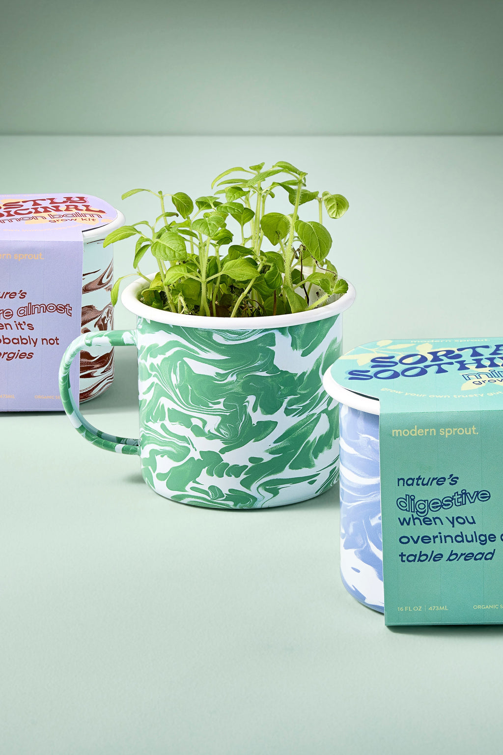 Altered Herb Mug Grow Kits