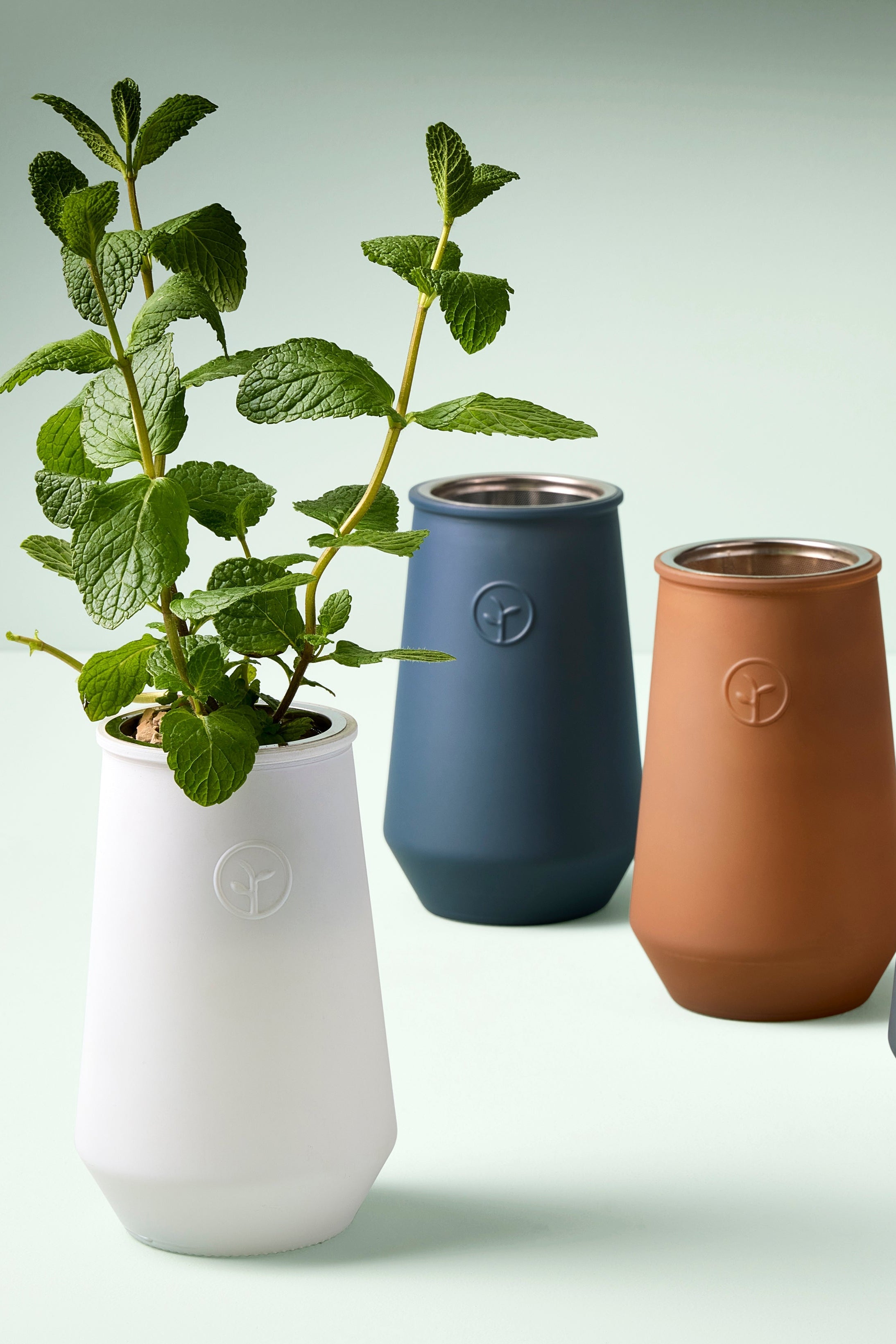Tapered Tumbler Grow Kits