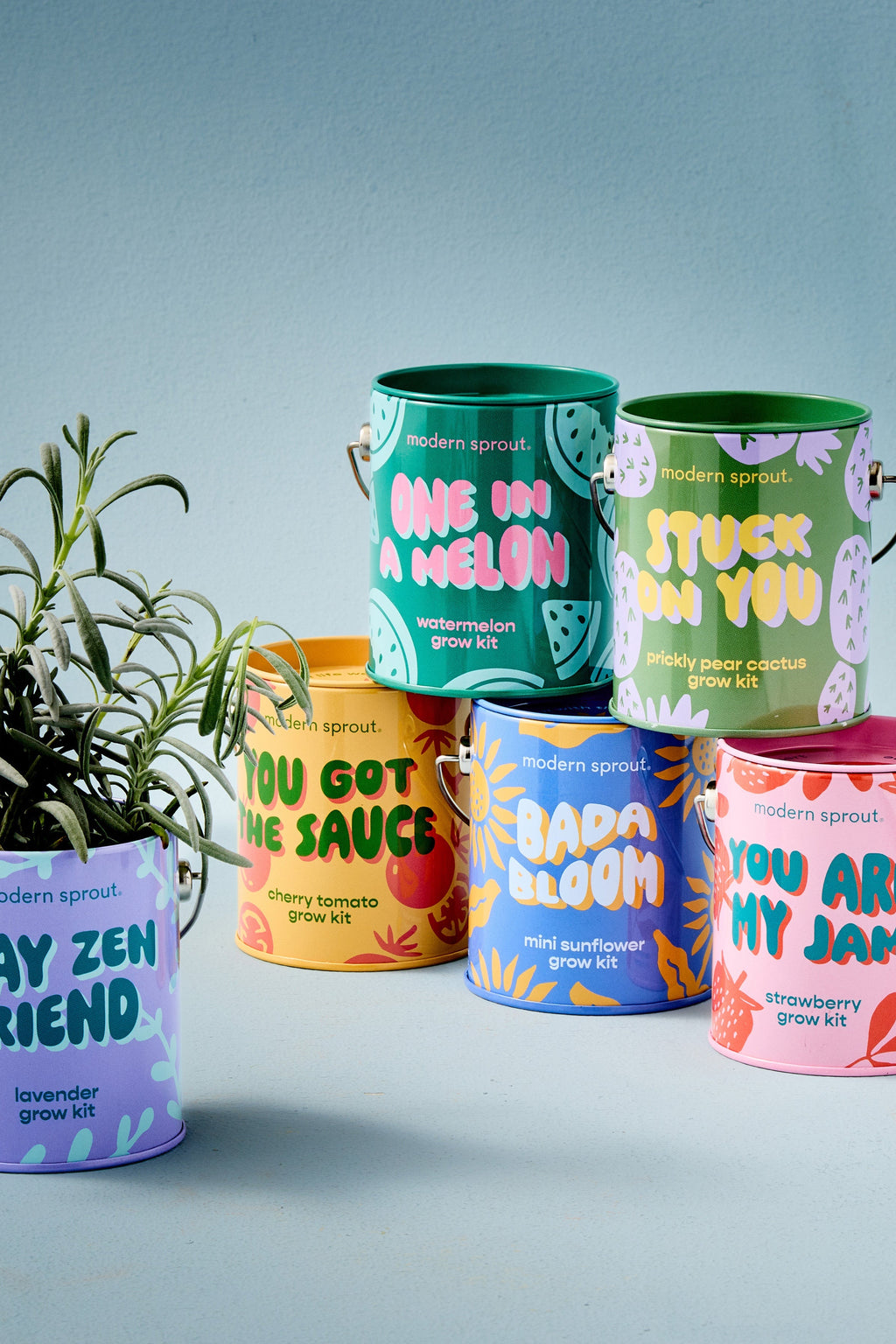 Complimentary Colors Grow Kits