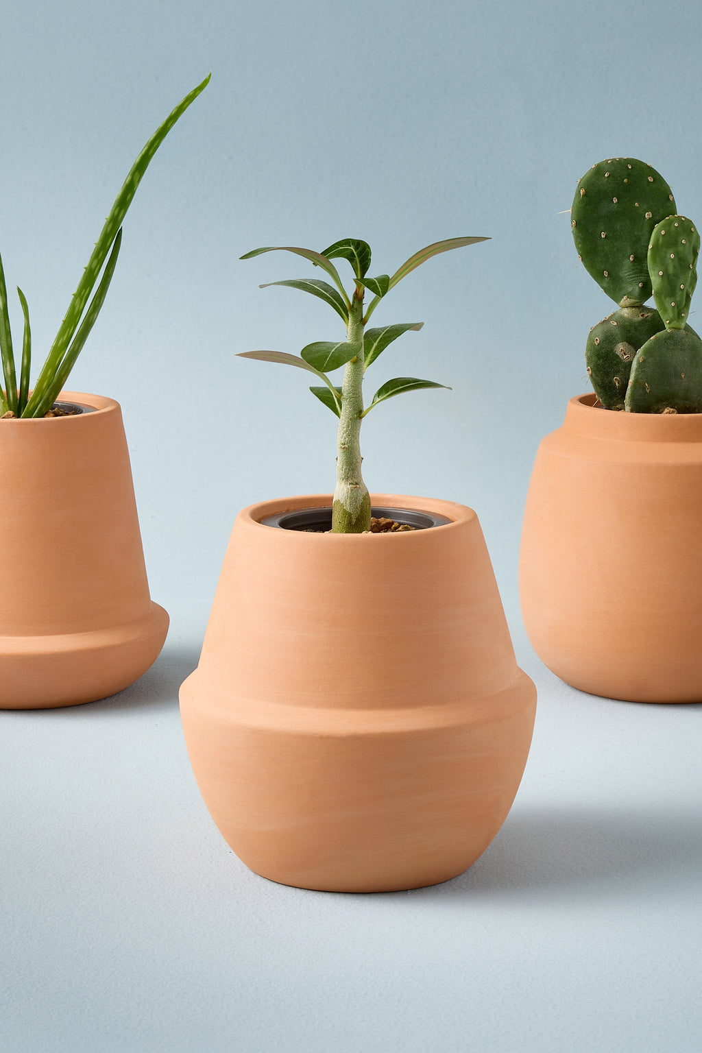 Modern Terracotta Grow Kits