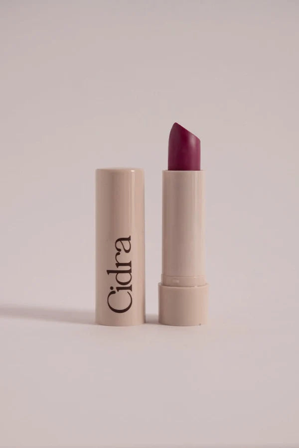 Tinted Moisturizing Lip Balm
