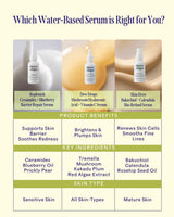 SkinHero™ Calendula + 2% Bakuchiol Bio-Retinol Serum